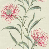 Tissu Catherinae Embroidery - Fuchsia - Sanderson. Cliquez pour en savoir plus et lire la description.