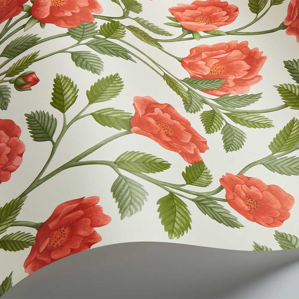 Hampton Roses Wallpaper - Rouge / Spring Green - by Cole & Son