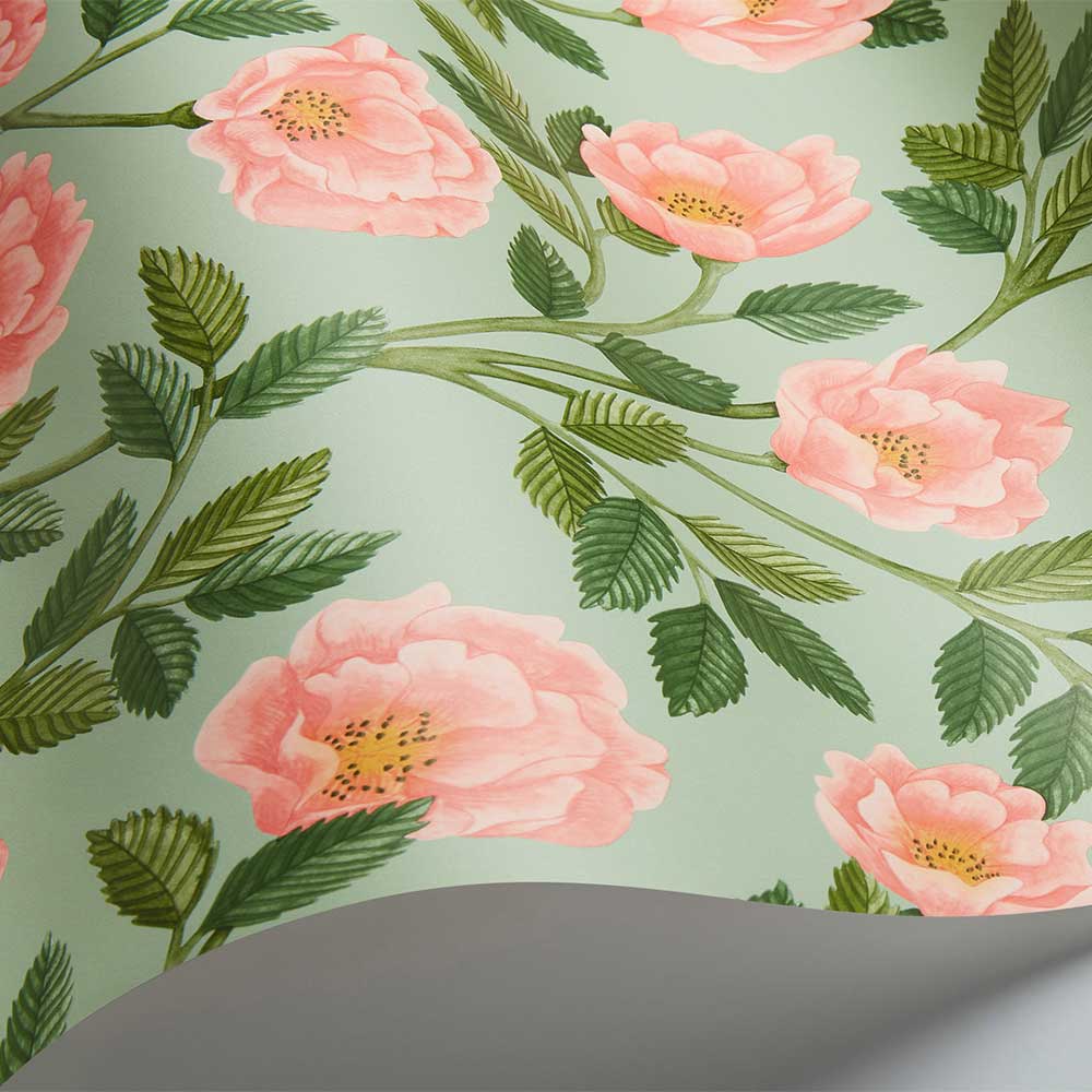 Hampton Roses Wallpaper - Rose / Leaf Green - by Cole & Son