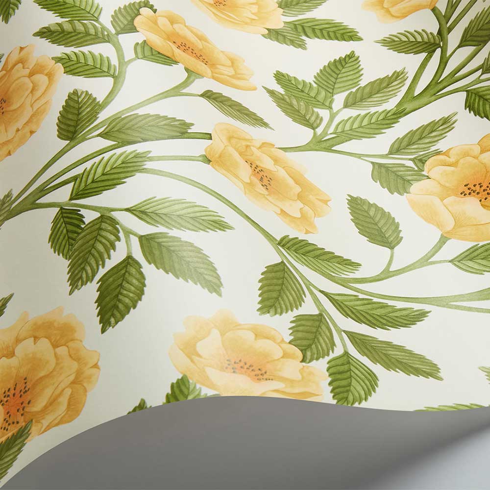 Hampton Roses Wallpaper - Marigold / Olive Green - by Cole & Son