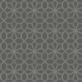 Wolsey Stars Wallpaper - Chalk / Charcoal - by Cole & Son. Click for more details and a description.