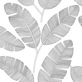 Banana Tree Wallpaper - Mono - by Caselio. Click for more details and a description.