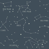 Constellations Wallpaper - Ink - by Caselio. Click for more details and a description.