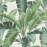 Deep Jungle Wallpaper - Green - by Albany. Click for more details and a description.