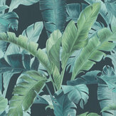 Deep Jungle Wallpaper - Aqua - by Albany. Click for more details and a description.