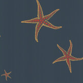 Starfish Wallpaper - Navy / Sienna - by Barneby Gates. Click for more details and a description.
