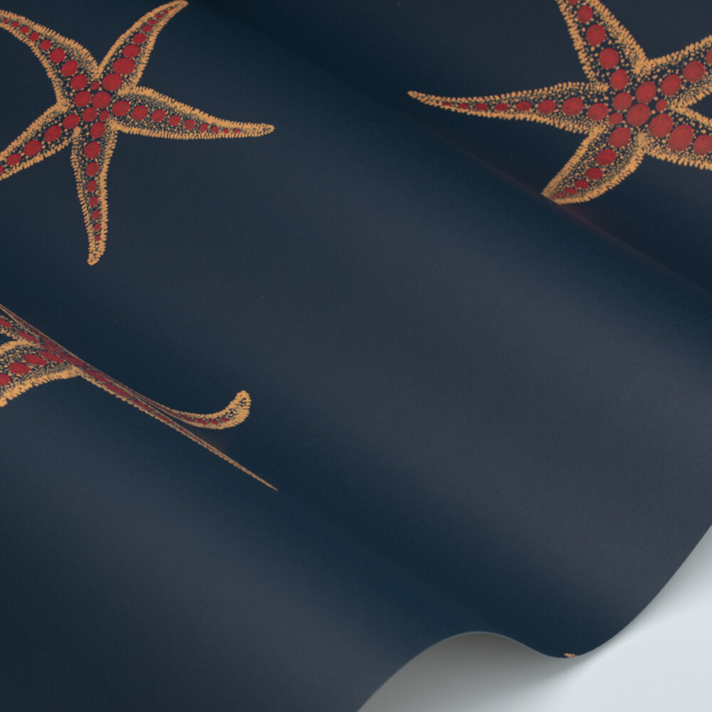 Starfish Wallpaper - Navy / Sienna - by Barneby Gates