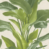 Bold Leaves Wallpaper - Green - by Metropolitan Stories. Click for more details and a description.