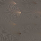 Fan Wallpaper - Bronze / Cocoa Brown - by Erica Wakerly. Click for more details and a description.