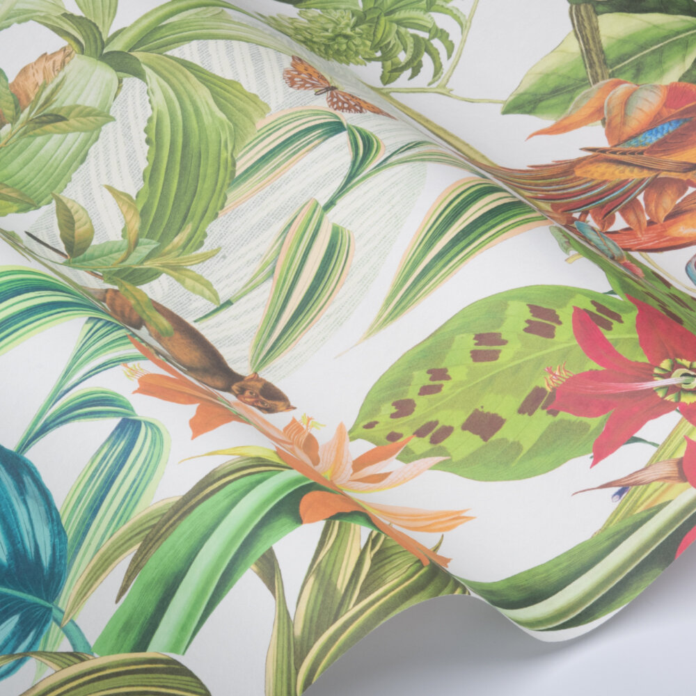 Caicos Wallpaper - Tropical - by Prestigious
