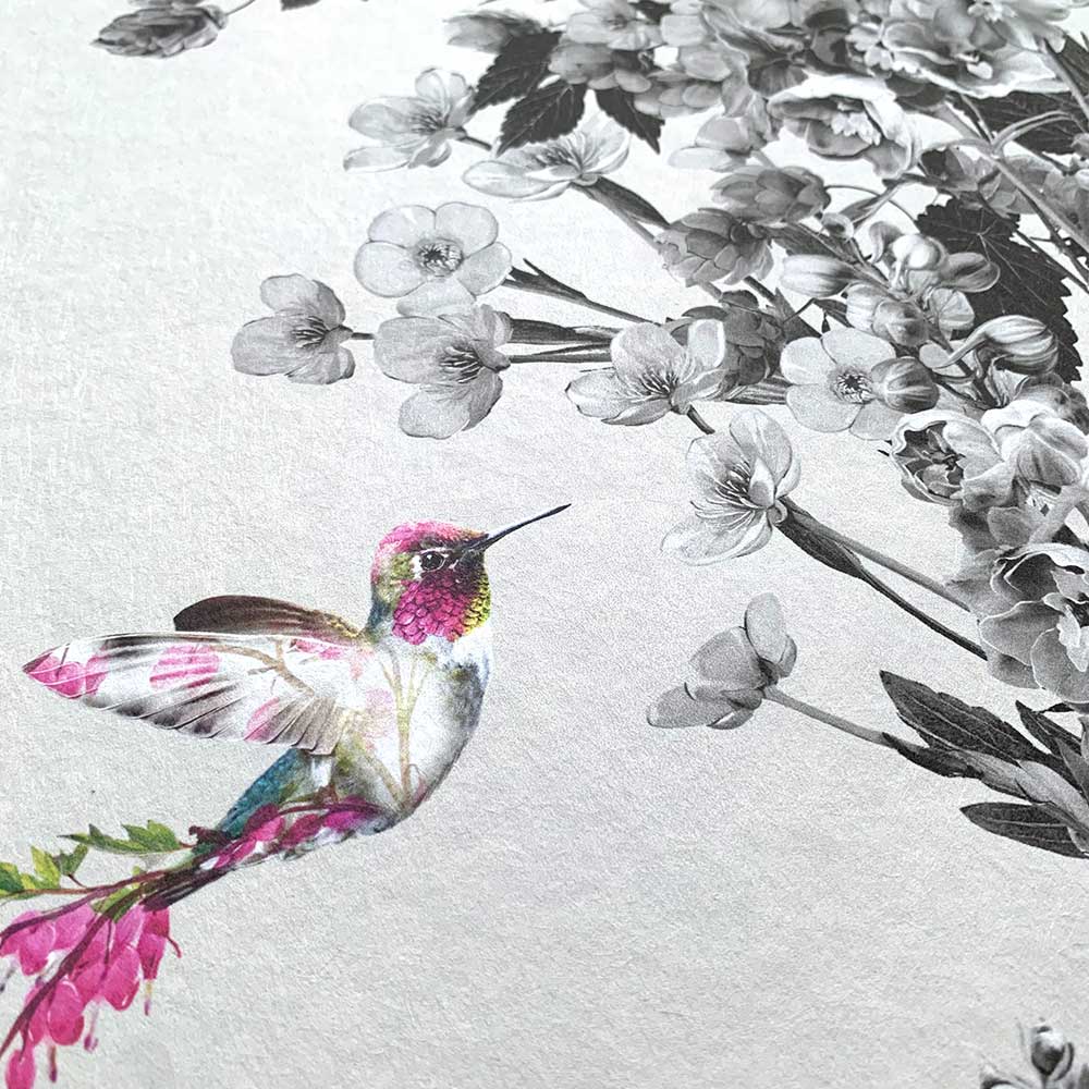 Hummingbird Wallpaper - Black / White / Stone - by Lola Design