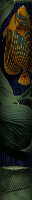 Aquarium Wallpaper - Deep Sea - by Graham & Brown