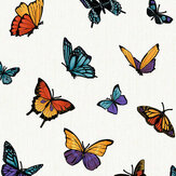 Flutterby Wallpaper - Multi - by Julien Macdonald. Click for more details and a description.