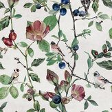 Goldfinch Song Wallpaper - Cotton - by Coordonne. Click for more details and a description.