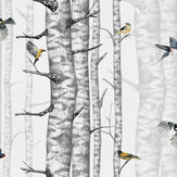 Birch Trees Wallpaper - Grey - by Coordonne. Click for more details and a description.