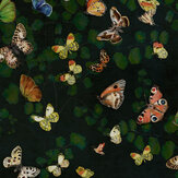 Magic Butterflies Wallpaper - Night - by Coordonne. Click for more details and a description.