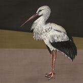 Stork Mother Mural - Black - by Coordonne. Click for more details and a description.