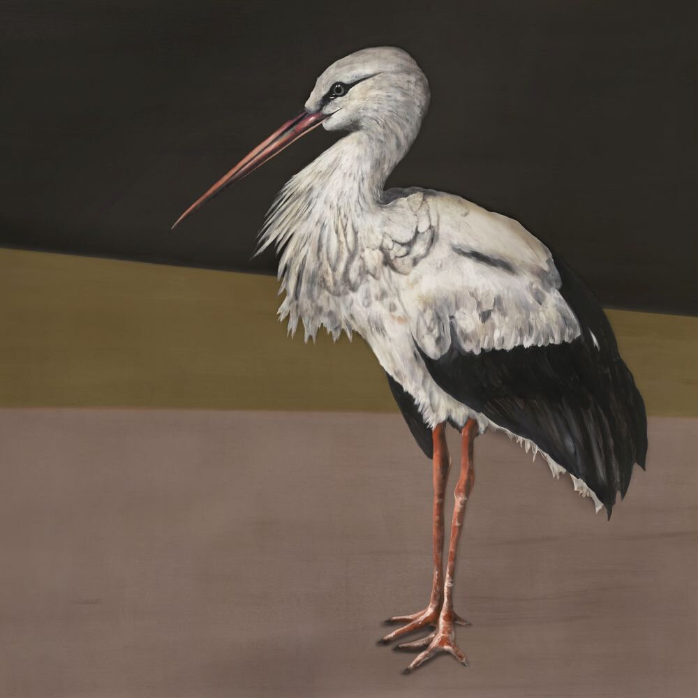 Stork Mother Mural - Black - by Coordonne