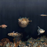 Deep Ocean Mural - Mediterranean - by Coordonne. Click for more details and a description.