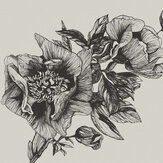 Giant Peonies Mural - Ink - by Coordonne. Click for more details and a description.