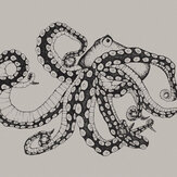 Octopus X-Ray Mural - Ink - by Coordonne. Click for more details and a description.