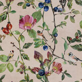 Goldfinch Song Wallpaper - Blush - by Coordonne. Click for more details and a description.