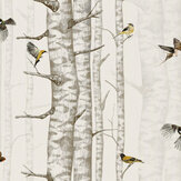 Birch Trees Wallpaper - Beige - by Coordonne. Click for more details and a description.