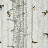 Birch Trees Wallpaper - Silvester - by Coordonne. Click for more details and a description.