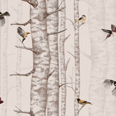 Birch Trees Wallpaper - Pink - by Coordonne. Click for more details and a description.