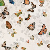 Magic Butterflies Wallpaper - Linen - by Coordonne. Click for more details and a description.