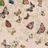 Magic Butterflies Wallpaper - Sweet - by Coordonne. Click for more details and a description.