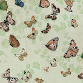 Magic Butterflies Wallpaper - Maca - by Coordonne. Click for more details and a description.