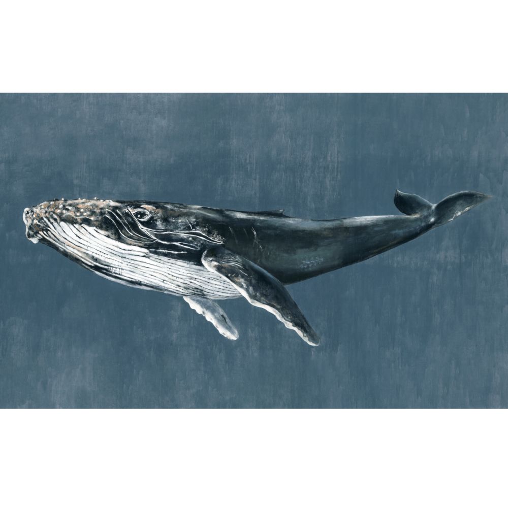 Humpback Whale Mural - Vintage - by Coordonne