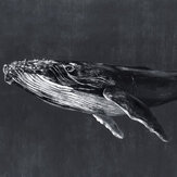 Humpback Whale Mural - Night - by Coordonne. Click for more details and a description.