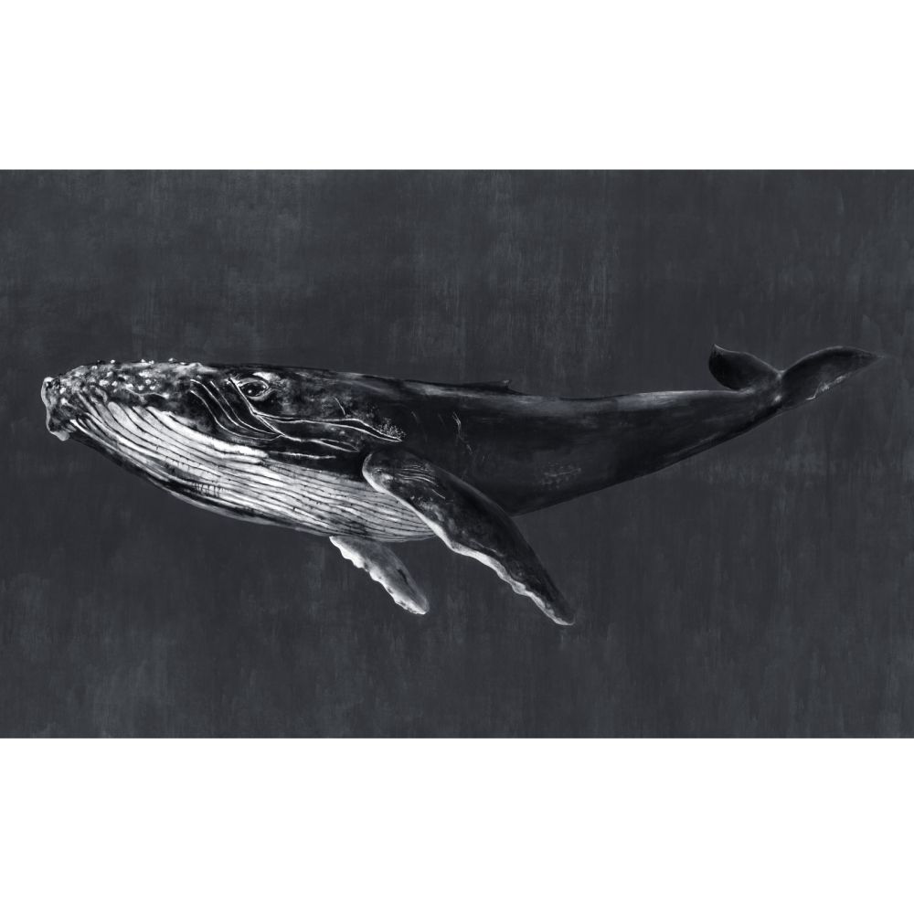 Humpback Whale Mural - Night - by Coordonne