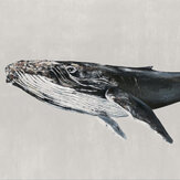 Humpback Whale Mural - Grey - by Coordonne. Click for more details and a description.