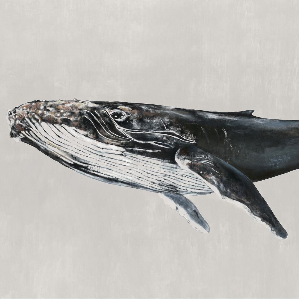Humpback Whale Mural - Grey - by Coordonne