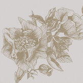 Giant Peonies Mural - Papirus - by Coordonne. Click for more details and a description.
