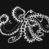 Octopus X-Ray Mural - Black - by Coordonne. Click for more details and a description.