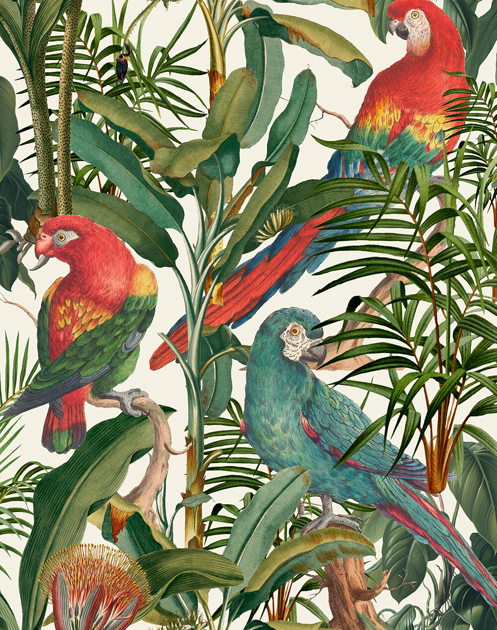 Parrots of Brasil Fabric - Green/ Red/ Blue/ White - by Mind the Gap