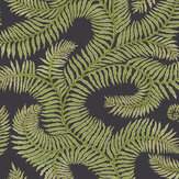 Bombe's Fernery Wallpaper - Dark grey and green - by Josephine Munsey. Click for more details and a description.