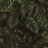 Amazon Wallpaper - Fern  - by Rebel Walls. Click for more details and a description.