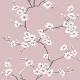 Apple Blossom Wallpaper - Pink - by Fresco. Click for more details and a description.