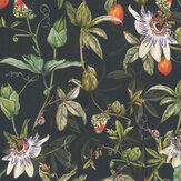Passiflora Wallpaper - Ink - by Isabelle Boxall. Click for more details and a description.