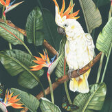 Birds of Paradise Wallpaper - Ocean - by Isabelle Boxall. Click for more details and a description.