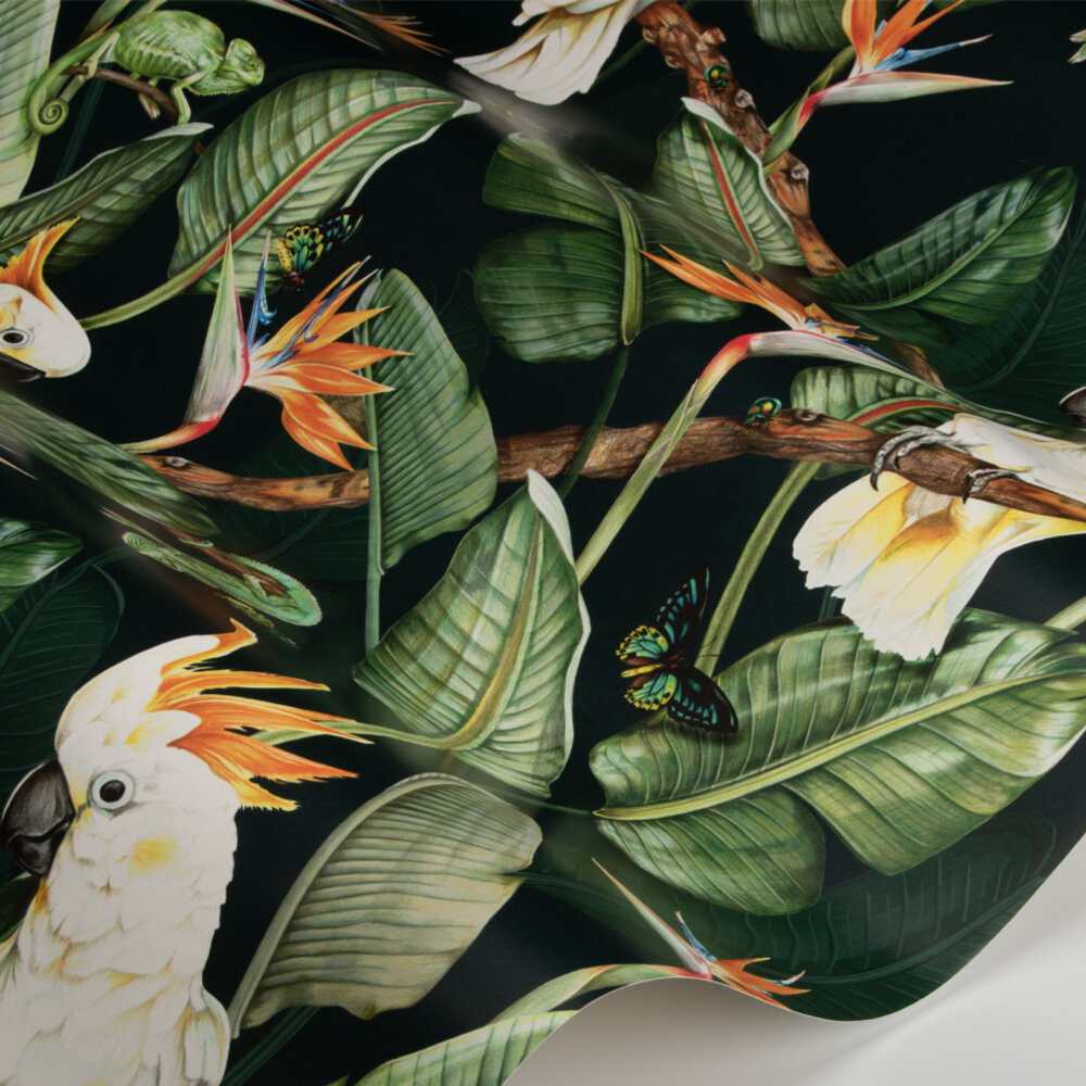Birds of Paradise Wallpaper - Ocean - by Isabelle Boxall