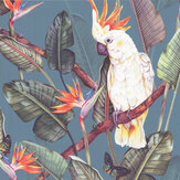 Papier peint Birds of Paradise - Bleu acier - Isabelle Boxall. Cliquez pour en savoir plus et lire la description.