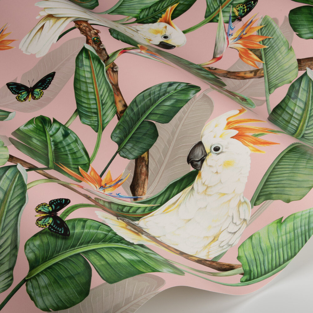 Birds of Paradise Wallpaper - Watermelon - by Isabelle Boxall