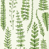 Ferns Wallpaper - Juniper - by Scion. Click for more details and a description.