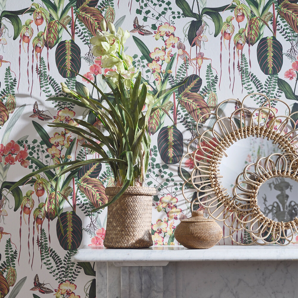 Orchid Jungle Wallpaper - Fennel - by Isabelle Boxall